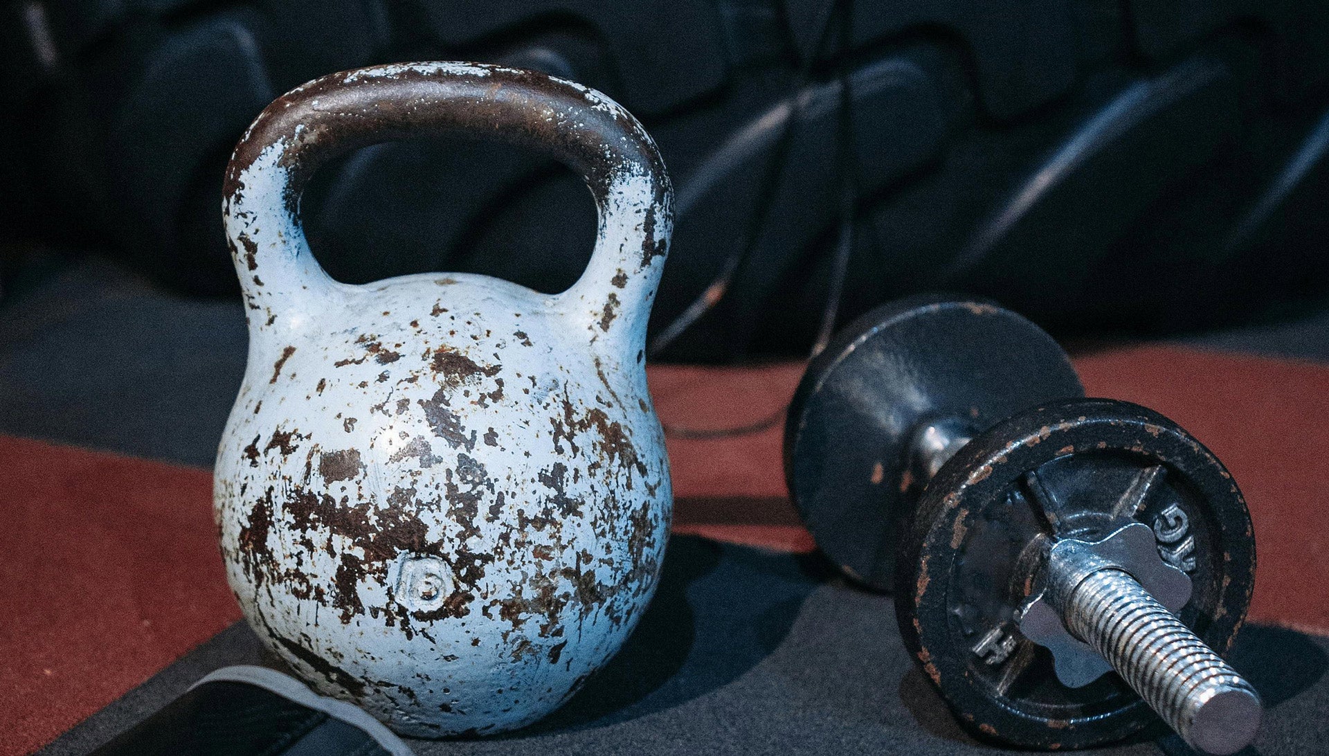 Dumbbell vs Kettlebell vs Circuit Ring  - which is best?